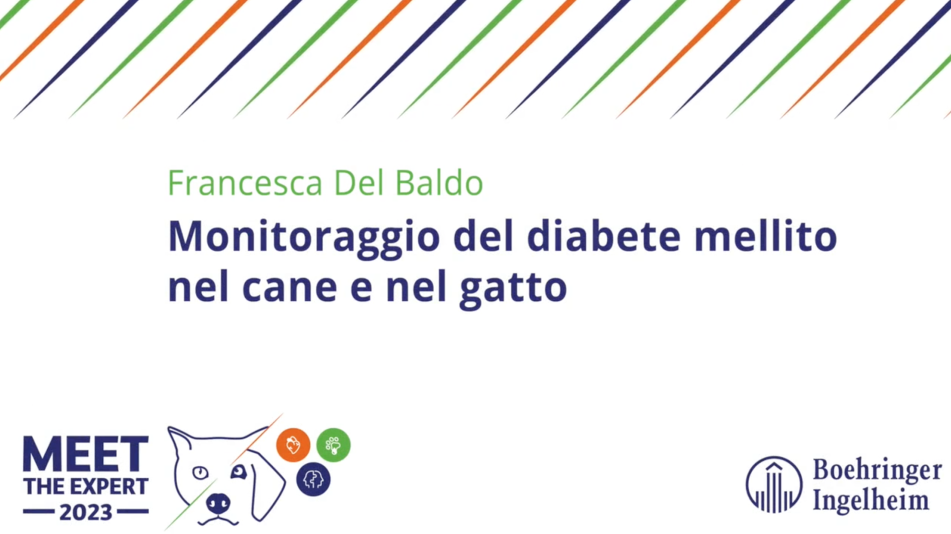 Monitoraggio Del Diabete Mellito Nel Cane E Nel Gatto